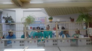 Warsztaty 7a Wydział Chemii (2)