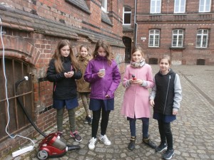 projekt badawczy 2017   (1)     