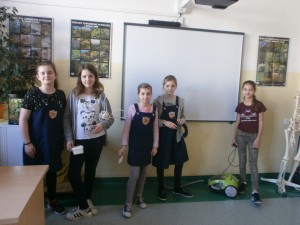 projekt badawczy 2017   (2)     