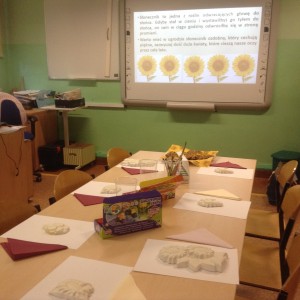 Słoneczniki 24.10.19 (7) 