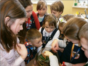 13-14 Sala przyrody (2)