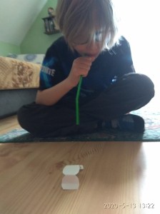 Jan D. 2a MUZYCZNE ROBACZKI   