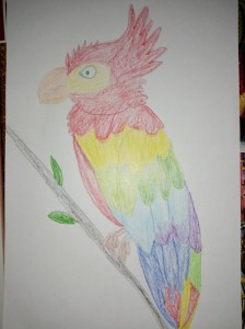 Adam N. 3a Ptasie Radio      