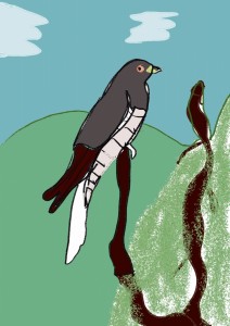 Franio 1a Ptasie Radio      