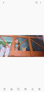 Screenshot 20200609-155138 Gallery