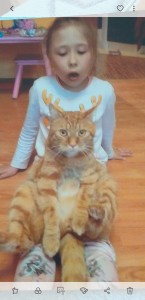 Screenshot 20200609-155149 Gallery