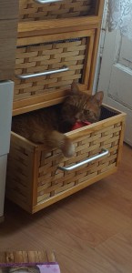 Screenshot 20200609-155220 Gallery