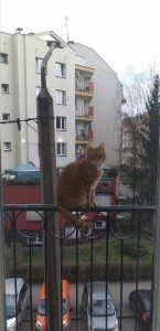 Screenshot 20200609-155305 Gallery