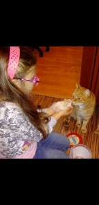 Screenshot 20200609-155612 Gallery